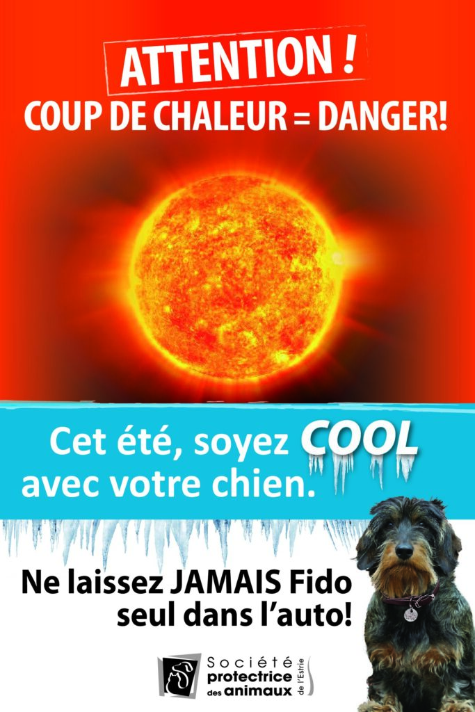 Coup de chaleur